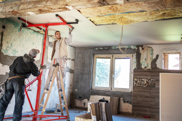 Best Cellulose Insulation in Houston, MS